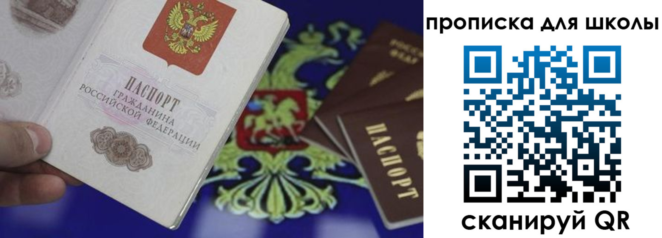 прописка паспорт в Ясном